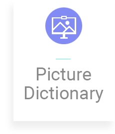 Picture Dictionary